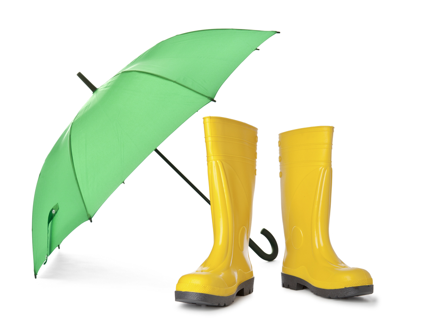 PRII_rain-boots-umbrella.bmp